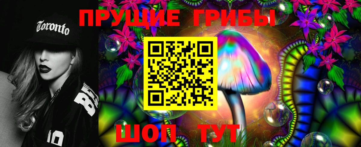 Галлюциногенные грибы Psilocybe  Вход с VPN  Галлюциногенные грибы мицелий  Каменка 